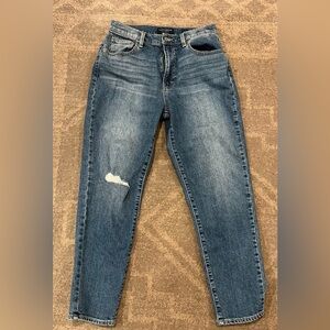 Lucky Brand Blue Distressed Skinny Jeans
